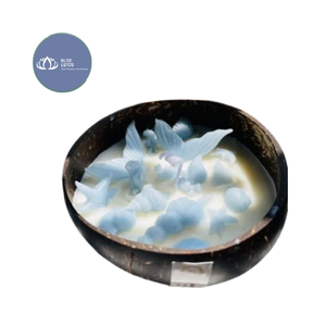 [DISPONIBLE] |   Recipiente Ecológico para Velas de Té de Cáscara de Coco, Decoración para el Hogar con Fragancia, Suministros Azules de Vietnam - Product Image 1