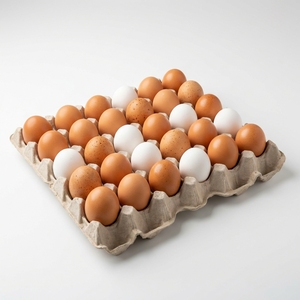 Huevos de Gallina de Grado Exportación, Huevos Frescos de Aves de Corral de Primera Calidad para Cadenas de Minoristas y Distribución Mayorista de Alimentos - Product Image 2