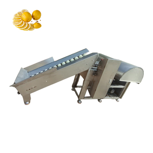 apple Slicer Industrial Fully Automatic Fruit Cutting Machine - Product Image 1
