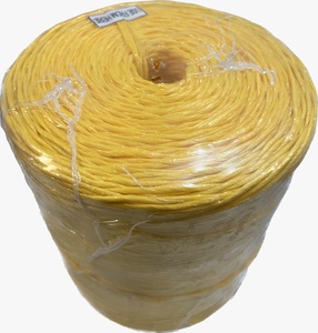 Fil de raphia coloré en polypropylène de haute qualité, fabriqué en Inde, pour balles de corde, bobine de ficelle, durable, anti-UV, diamètre 0,5-3 mm, 3/4 - Product Image 6