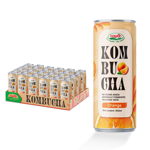 Fabricante de Kombucha Naranja Personalizada con Marca Privada, Suministro de Bebidas al por Mayor B2B, Venta al por Mayor, OEM, Directo de Fábrica, Exportación de Té Fermentado - Product Image 1