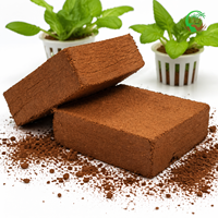 Bloc de coco biodégradable de qualité pépinière 5 kg, écologique, haute rétention d'eau, expansion 80-100 L, tourbe de coco pour la germination des graines