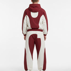 Chándales OEM Casuales con Capucha, Estilo Urbano, Resistentes al Viento, con Diseño de Bloques de Color - Product Image 2