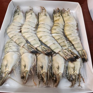 Best Quality Frozen Peeled LQF Headless Skinless Black Tiger Shrimp 12 Months <b>Shelf</b> Life <b>Box</b> <b>Box</b> Natural Color Fried Processing - Product Image 6