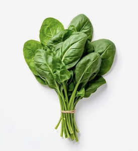 Graines d'épinards de haute qualité pour système d'agriculture moderne avec durée de conservation stable, compatibilité avec le semis mécanique, haute performance - Product Image 5