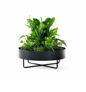 Pot de fleurs en métal galvanisé de haute qualité, exportateur en gros d'Inde, nouveau design, jardinière en métal faite à la main - Product Image 5