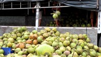 Eau de coco biologique 460ml eau de coco boisson 24 bouteilles par carton bouteille en verre USDA Organic OEM Private Label Vietnam