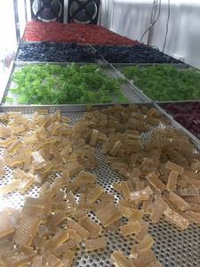 Gummies de mousse de mer en gros sous marque privée, formule personnalisée, OEM - Product Image 3