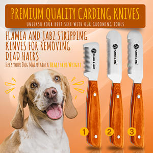 Flamia Essential - Peine Grande de Madera Ecológica con Mango Verde para Perros Terrier, Herramienta Eficaz para el Cuidado de Mascotas - Product Image 5