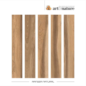 Baldosa de porcelana mate de formato extendido de 20x120 cm diseñada para realzar la proporción de los paneles y la continuidad de la superficie interior. - Product Image 1