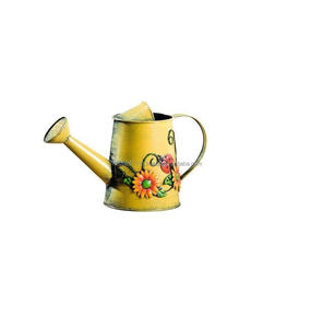 Arrosoir galvanisé au design imprimé en émail vibrant, idéal pour les compositions florales, la décoration de jardin et le style de ferme rustique - Product Image 1