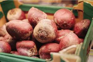  Betterave rouge fraîche de la meilleure qualité | Diamètre de 5 à 8 cm, garni |   Afrique du Sud |   Prêt à l'emploi |   Pour la vente au détail de salades et de jus |   Carton de 10 kg - Product Image 6