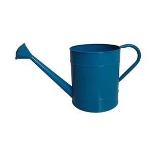 Arrosoir décoratif personnalisé pour l'aménagement de jardins rustiques et les besoins d'entretien des plantes - Product Image 5