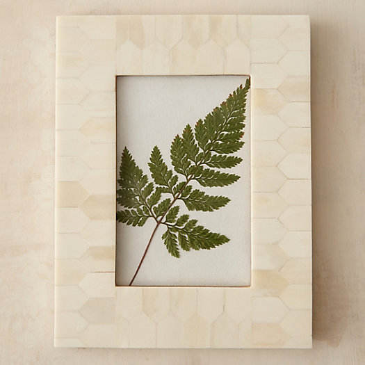 Intarsie en os blanc ivoire