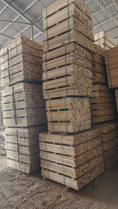Bûches de bois tendres de qualité supérieure pour la fabrication de papier et les applications de construction. - Product Image 1