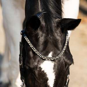 Brida con logotipo personalizado, cuero genuino de alta calidad, artículos ecuestres hechos a mano, productos de bridas a precio de mayorista. - Product Image 4