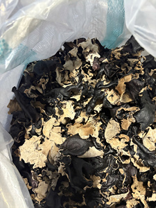 Champignons d'Oreille de Bouddha Séchés de Haute Qualité, Mycélium Noir du Vietnam, Matière Première pour le Commerce et l'Approvisionnement Alimentaire International - Product Image 5