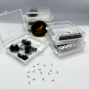 Extensions de cils en gros 0.03 0.05 0.07 CC D DD Noir mat Logo personnalisé Cils volume cachemire 8-25mm C Mixte disponible - Product Image 1