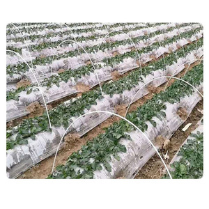 Sturdy Fiberglass Material Plant Sticks Support, Tomato <b>Stakes</b> - Product Image 6