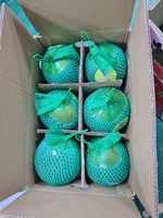 Pomelo vert frais de Vietnam, sucré et juteux, chair rose, qualité export premium, fruit agrumes, durée de conservation 60-90 jours, prêt à consommer