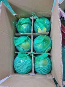 Pomelo Verde Fresco de Vietnam, Dulce y Jugoso, con Pulpa Rosada, Calidad Premium de Exportación, Cítrico, 60-90 Días de Vida Útil, Uso Inmediato - Product Image 3