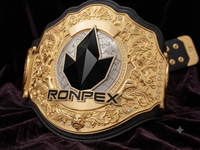 Ceinture de champion du monde en laiton avec sangles en cuir véritable, équipement d'arts martiaux Ronpex de haute qualité et étanche