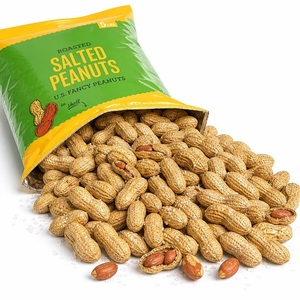 Cacahuetes Tostados con Piel y Sal, Snack con Rico Sabor para Tiendas Minoristas, Supermercados y Disfrute Diario - Product Image 4