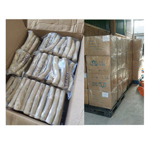 พร้อมส่ง 2026 ของเล่นแท่งไม้กาแฟสำหรับสุนัข ช่วยทำความสะอาดฟันและเสริมสร้างกิจกรรมการเล่น - Product Image 6