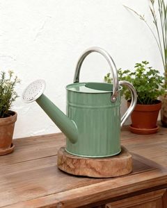 Arrosoir en métal durable de fabrication fiable avec un design moderne pour les plantes de serre et les activités de jardinage en extérieur - Product Image 1