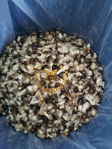 Seta de paja enlatada sabrosa de fábrica de Vietnam de precio competitivo entero pelado 3kg Takimex - Product Image 4