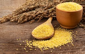 Millet décortiqué de haute qualité en vrac, graines de millet biologique pour l'industrie alimentaire, alimentation des oiseaux, qualité export garantie Autriche - Product Image 5