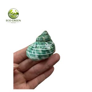 OEM ODM เปลือกหอยมุกสีเขียวขัดเงาธรรมชาติ สำหรับตกแต่งบ้าน ตู้ปลา และงานฝีมือจากผู้ผลิต - Product Image 5