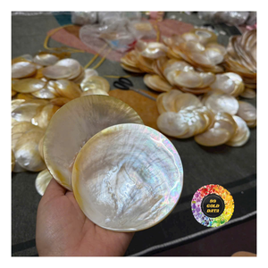 Natürliche Perlmutt-Muschelschalen-Präsentationsteller, handgefertigtes dekoratives Tablett für Sammlerstücke, Andenken, Schmuck, Geschenke & Küstendekoration - Product Image 3
