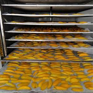 ผลไม้ตากแห้งแบบมะม่วงอบแห้งระดับพรีเมียมจากเวียดนามขายส่งโรงงาน - Product Image 2