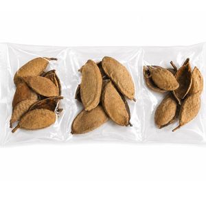 AQUA VRIKSHA Cápsulas Naturales de Pungam para Acuarios, Peceras de Betta, Peceras de Camarones y Acuapaisajismo |   Paquete de 10 - Product Image 5