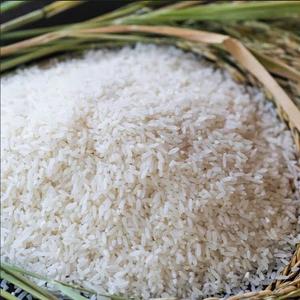 Arroz Blanco Duro de Grano Largo 504, 3% de Grano Partido, Sin OMG, 100% Natural, Modelo PG-02, Dong Thap, Cosecha 2025, Hecho en Vietnam - Product Image 3