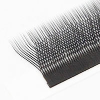 YY 3D 4D 5D Forme W Cils Pestaas Cils Extension Premade Lashes Fans Easy Fan W Weave Clover Matte Lash Extension Trays