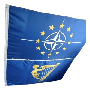 Drapeau rectangulaire en polyester avec motif d'ours et d'étoiles pour une utilisation en extérieur - Product Image 3
