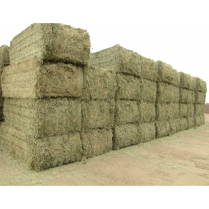 Alfalfa, foin et granulés d'alfalfa, foin de Timothy, foin d'alfalfa en balles – Meilleure qualité pour l'alimentation animale - Product Image 1