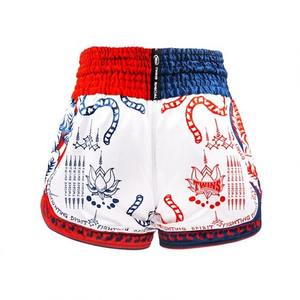 Pantalones Cortos de Boxeo Multicolor para Niños, Diseño Nuevo y Popular, Pantalones Cortos de Entrenamiento de Muay Thai, MMA, para Niños - Product Image 6