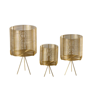 Jarrón Escultural de Estilo Nórdico Orgánico, Cuenco de Vidrio Soplado a Mano sobre Base de Rama Dorada, Decoración de Mesa Contemporánea Inspirada en la Naturaleza - Product Image 2