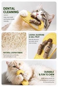 Juguete Masticable para Mascotas de Luffa Natural, Seguro, No Tóxico, Ecológico, para la Salud Dental y Limpieza de Dientes, OEM ODM - Product Image 6
