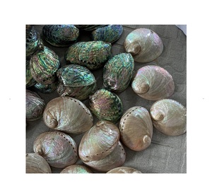 Cuillère artisanale en coquille d'ormeau, finition miroir naturelle irisée, durable, 10 ml, écologique, cuillère de service - Product Image 1