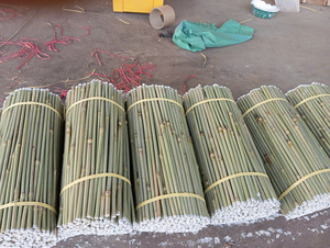 ไม้ไผ่คุณภาพเยี่ยม วัสดุพรีเมียมสำหรับโครงสร้างรองรับและงาน DIY แข็งแรง ลื่นไหล ใช้งานง่าย - Product Image 5