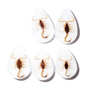 Cabochon Golden Scorpion Pear Shape cut <b>top</b> 25x17 mm White Flat Bottom for Crafts and Jewelry Making - Product Image 5