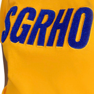 Camiseta de chenilla con mangas tipo poodle de Sigma Gamma Rho SGRHO para mujer, mezcla de algodón dorado, manga corta, estilo casual y elegante. - Product Image 6