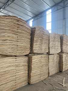 Placage d'eucalyptus 100 % naturel de haute qualité, coupé à la rotative, pour panneaux de meubles - Product Image 6