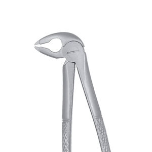 ARISTON INTERNATIONAL Pinzas de Extracción Dental de Alta Calidad con Patrón Inglés, Acero Alemán, Alicates Manuales en Venta - Product Image 2