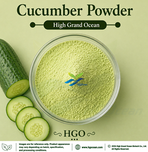 HGO Suministro Directo de Fábrica: Polvo de Pepino Natural (Grado Alimenticio) - Polvo Vegetal Liofilizado o Secado por Aspersión - Product Image 1