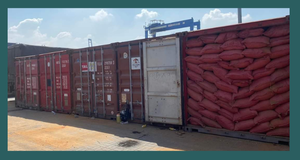 Grande poudre de Joss pour le marché de l'Inde et de la Chine-Haute qualité et prix compétitif adapté à la fabrication d'encens, agarbatti - Product Image 6